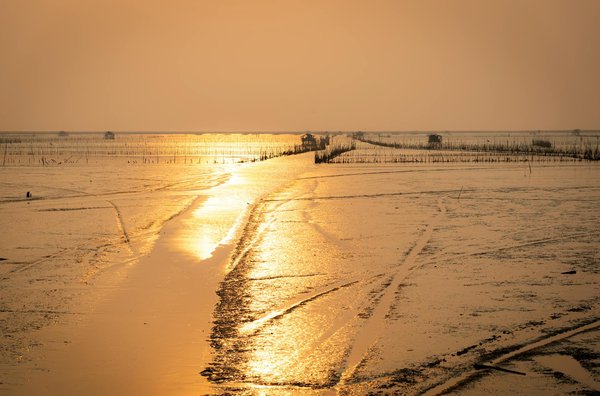 Camping savoie : aventures familiales à eden de la vanoise