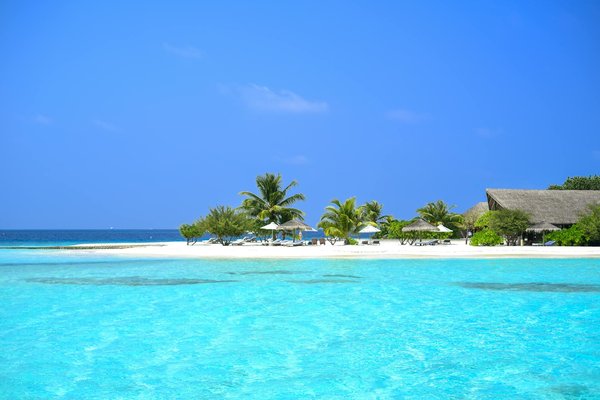 Comment le tourisme gastronomique aide à préserver les traditions culinaires