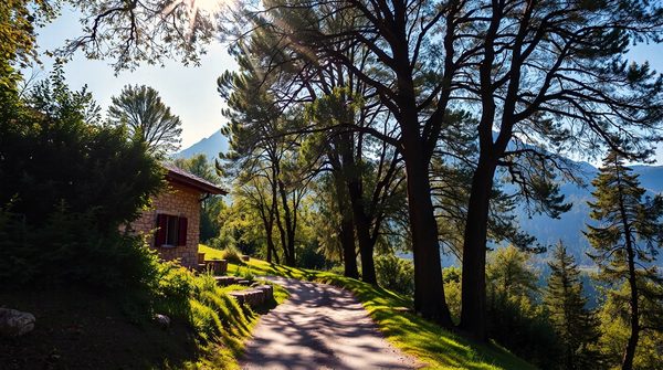 Séjournez au domaine de la tour : camping hautes pyrénées aventurier !
