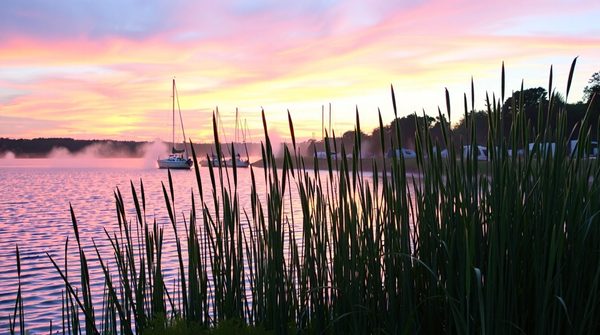 Un séjour inoubliable au camping de l'Étang de bazange à bergerac